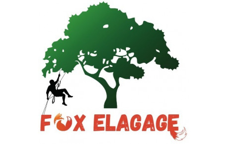 FOX ELAGAGE